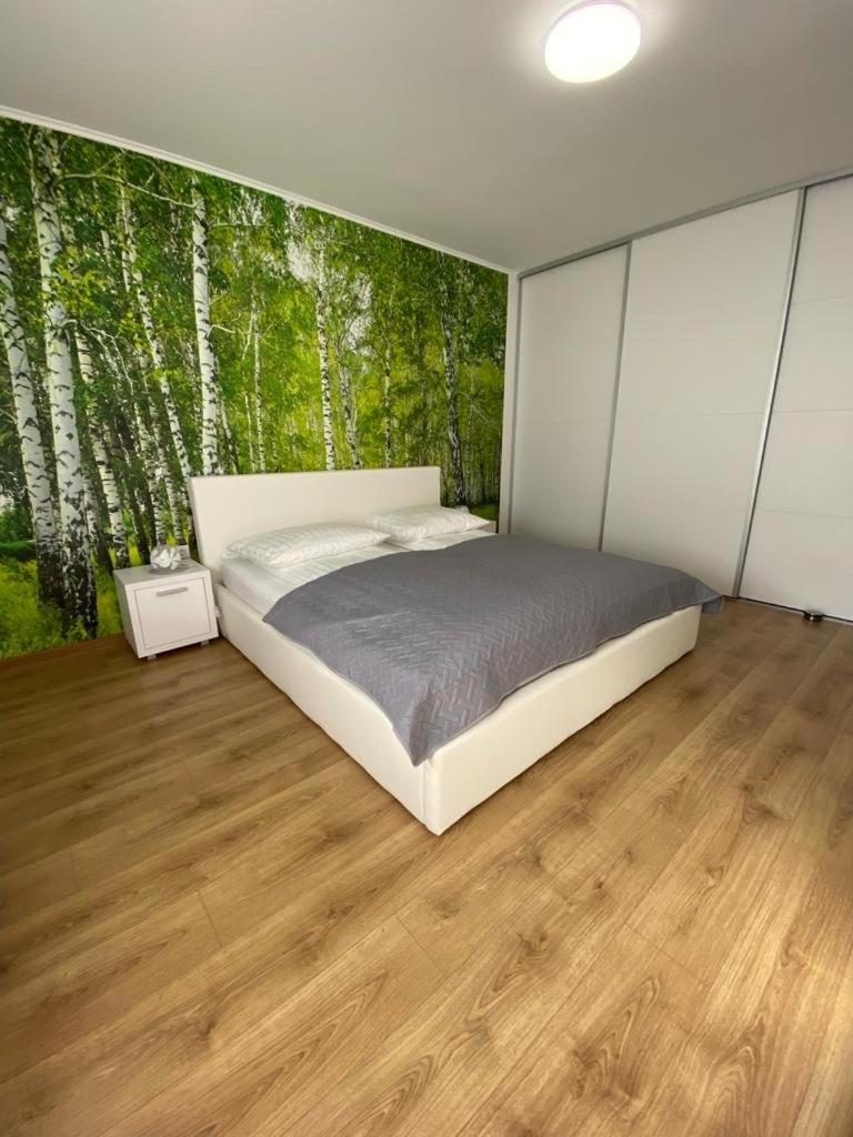 Apartament Nala เมดิอาช ภายนอก รูปภาพ